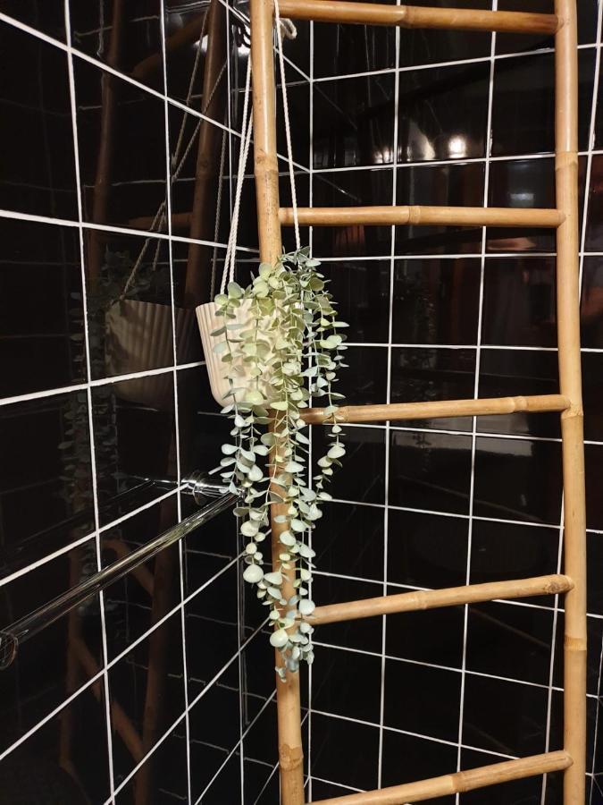 Vivenda Oliveira - Alojamento Local Lamego Luaran gambar